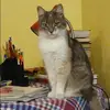 Отзыв от Фаина Панина